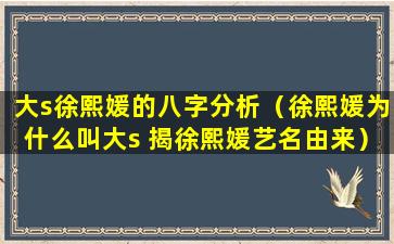 大s徐熙媛的八字分析（徐熙媛为什么叫大s 揭徐熙媛艺名由来）